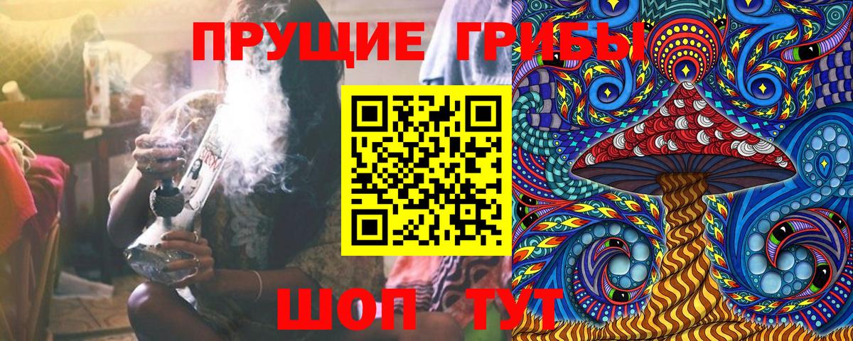 Галлюциногенные грибы Cubensis Киселёвск