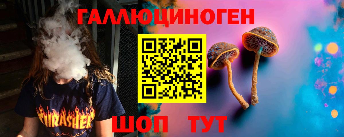Галлюциногенные грибы GOLDEN TEACHER  Вход с VPN  Киселёвск  Галлюциногенные грибы Psilocybe 